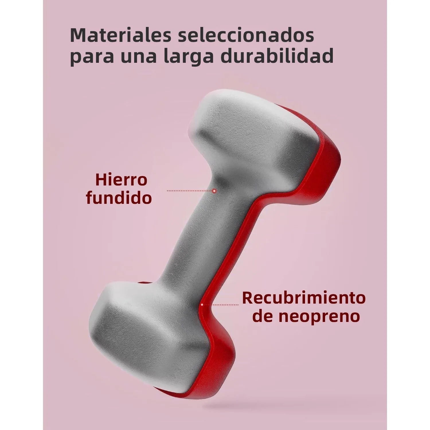Neoprene Dumbbells (1–10kg)