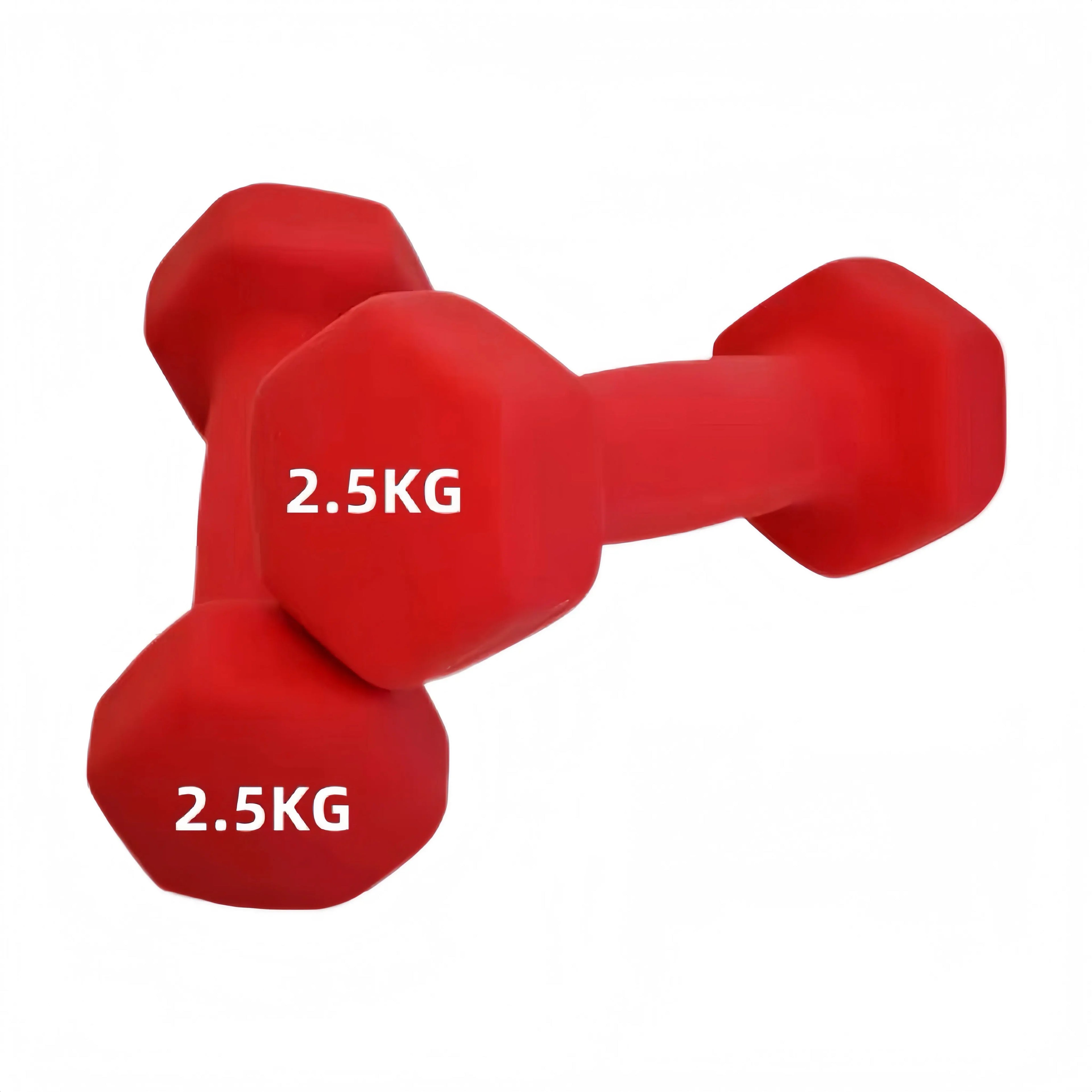 Neoprene Dumbbells (1–10kg)