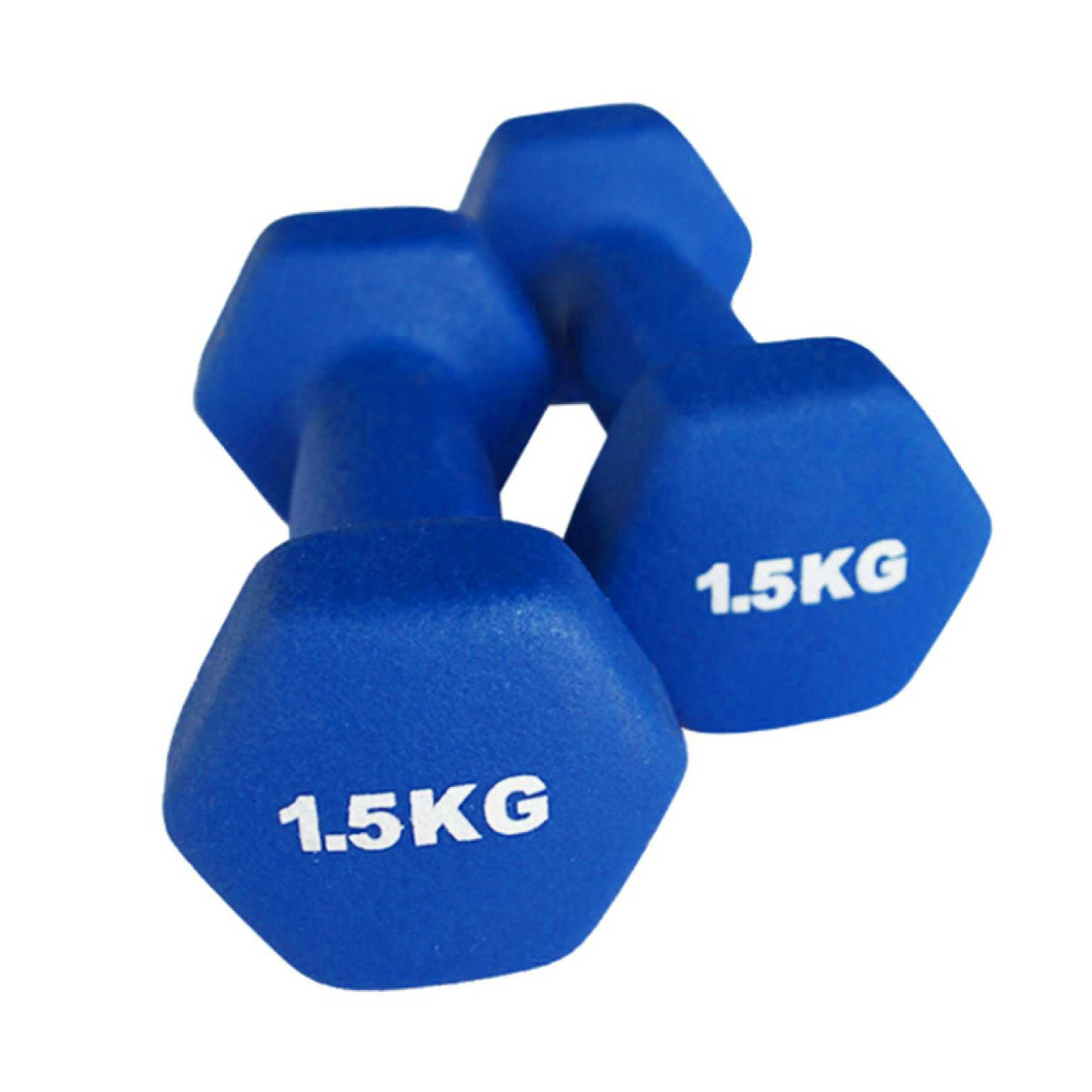 Neoprene Dumbbells (1–10kg)