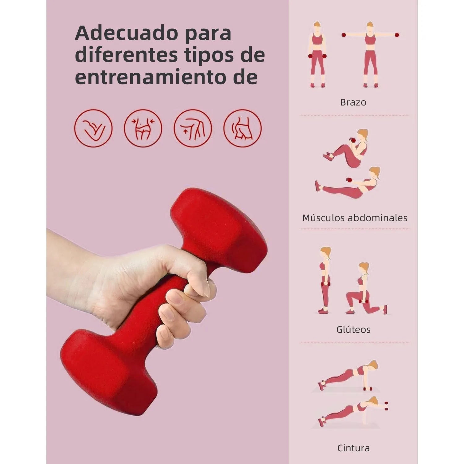 Neoprene Dumbbells (1–10kg)