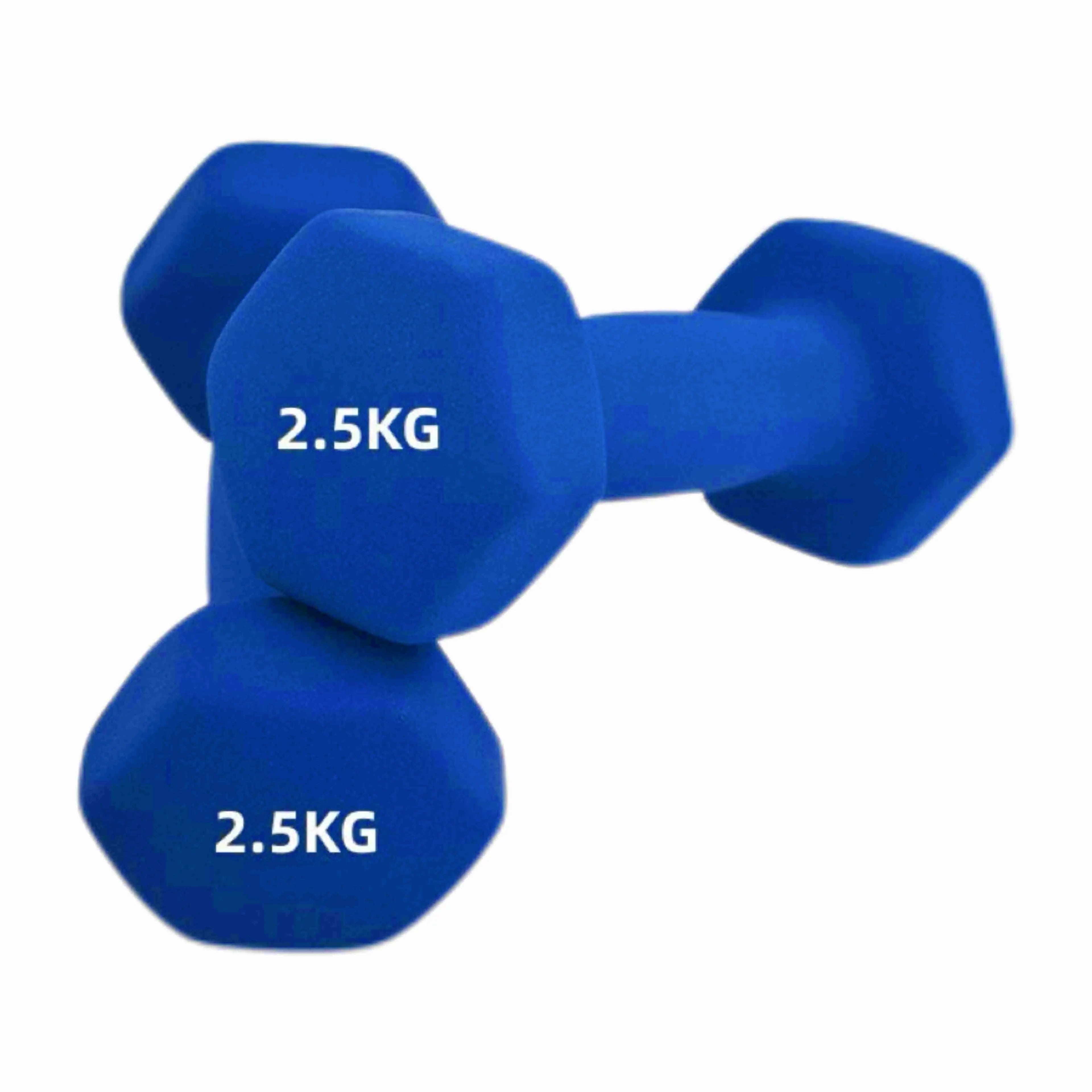 Neoprene Dumbbells (1–10kg)