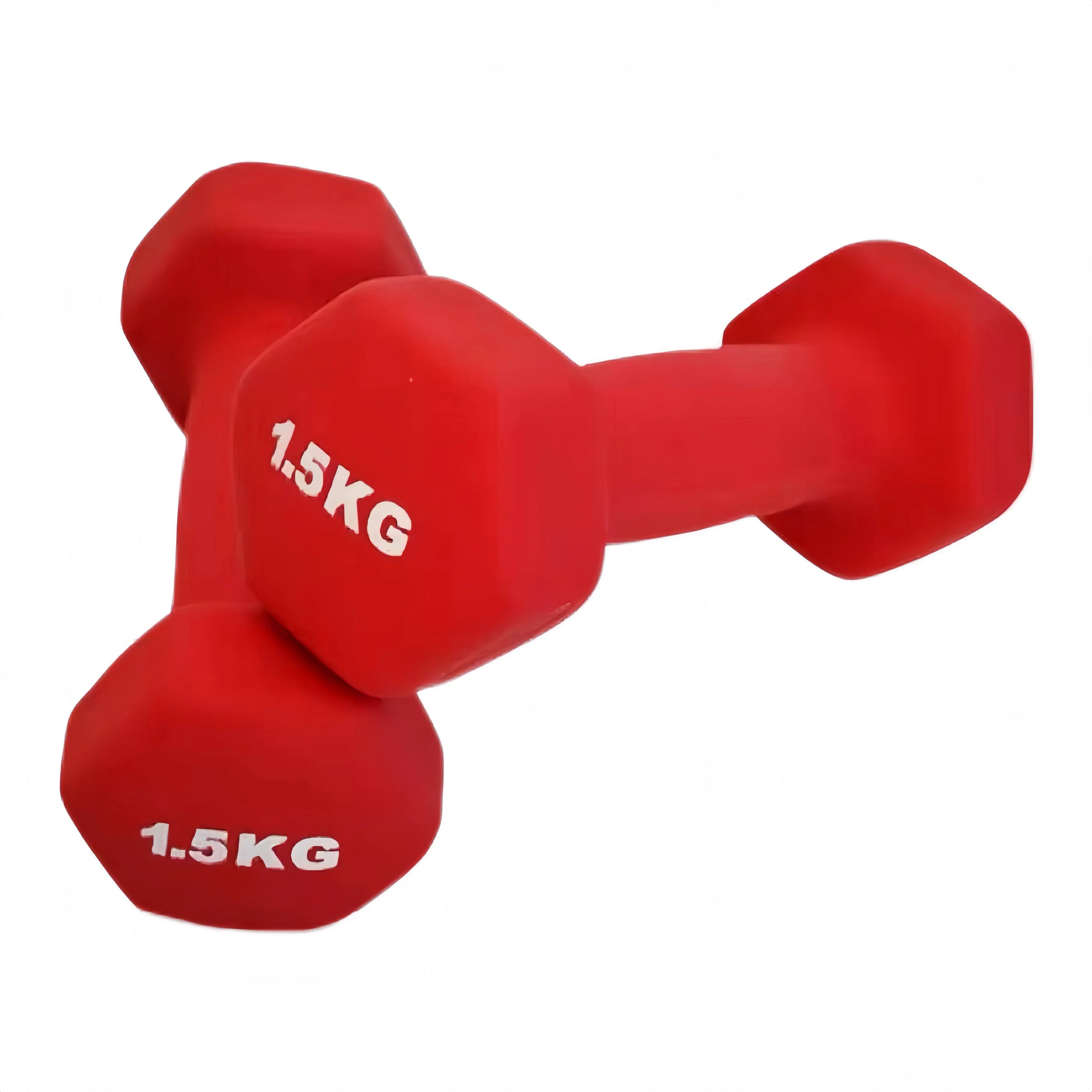 Neoprene Dumbbells (1–10kg)