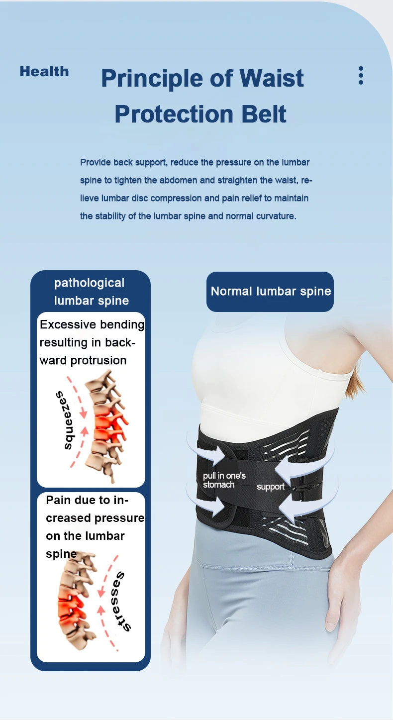 Back Support Belt