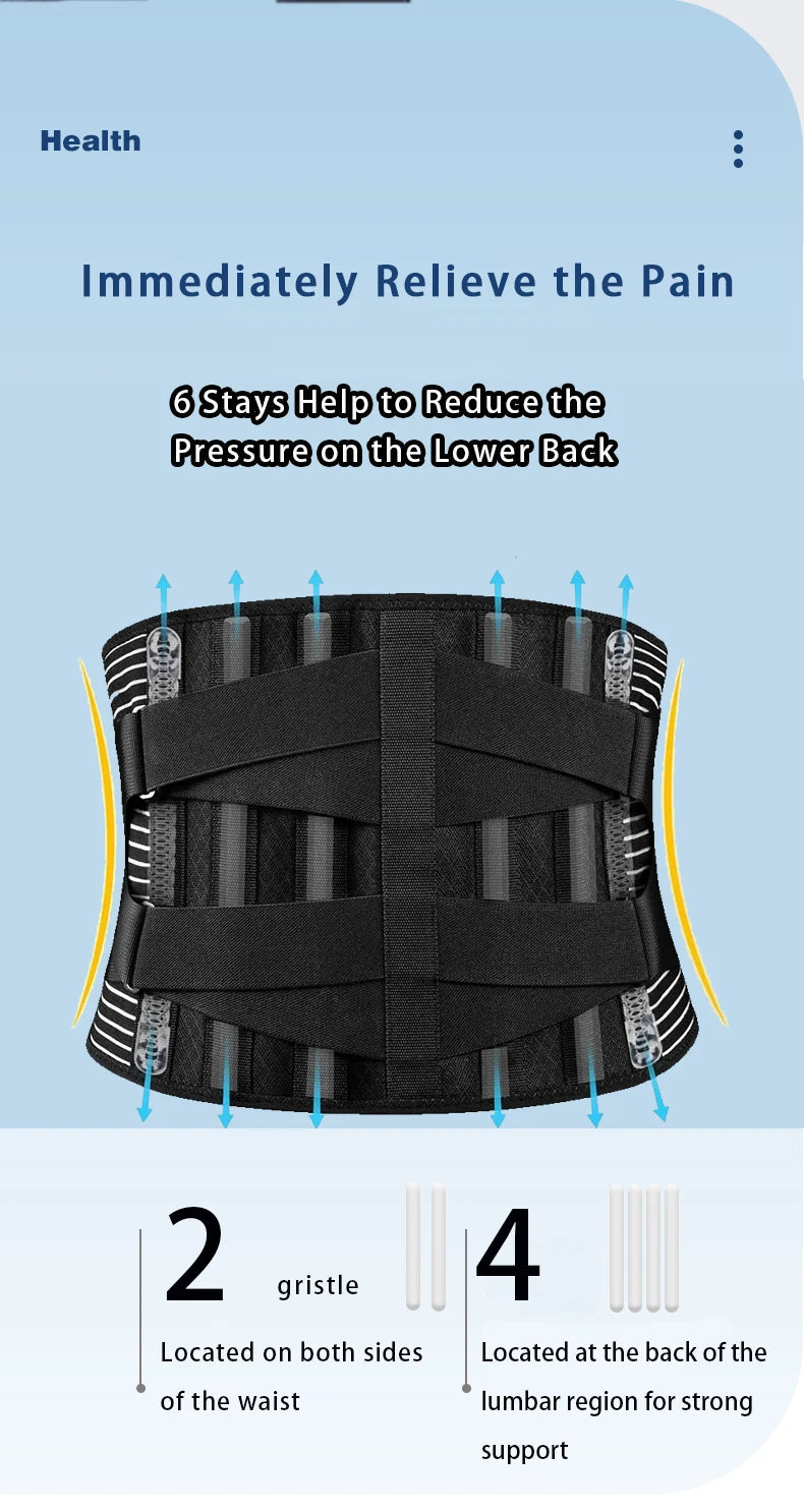 Back Support Belt